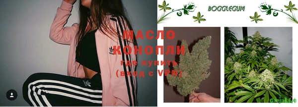 apvp Бородино