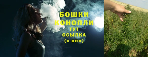 apvp Бородино