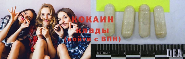 PSILOCYBIN Бугульма