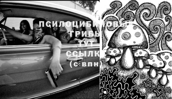 PSILOCYBIN Бугульма