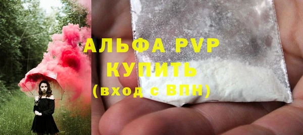 apvp Бородино