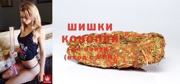 apvp Бородино